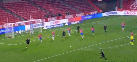 追梦：尼克·杨是勇士当年夺冠征程中的重要功臣